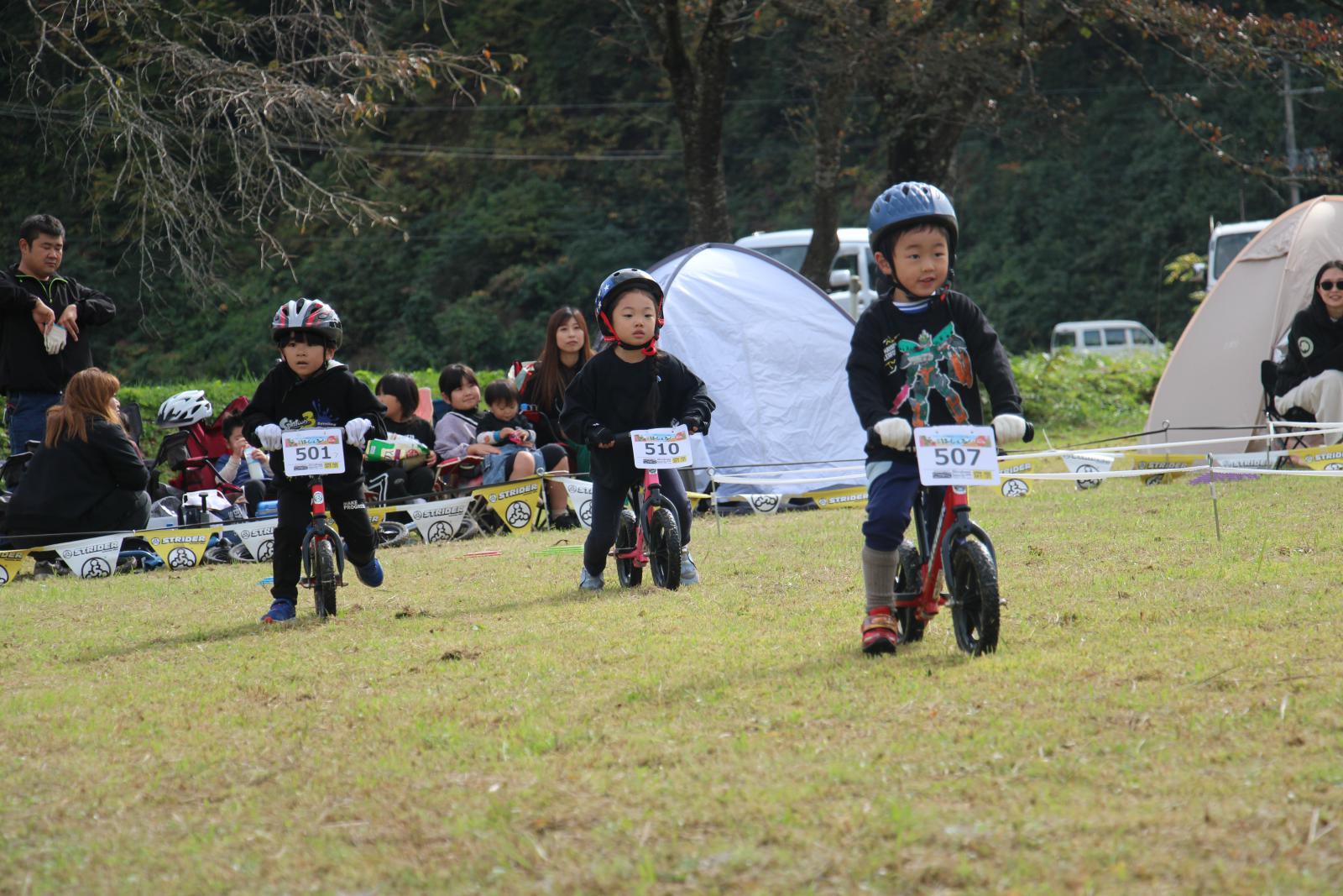 白神はしぇるライダー