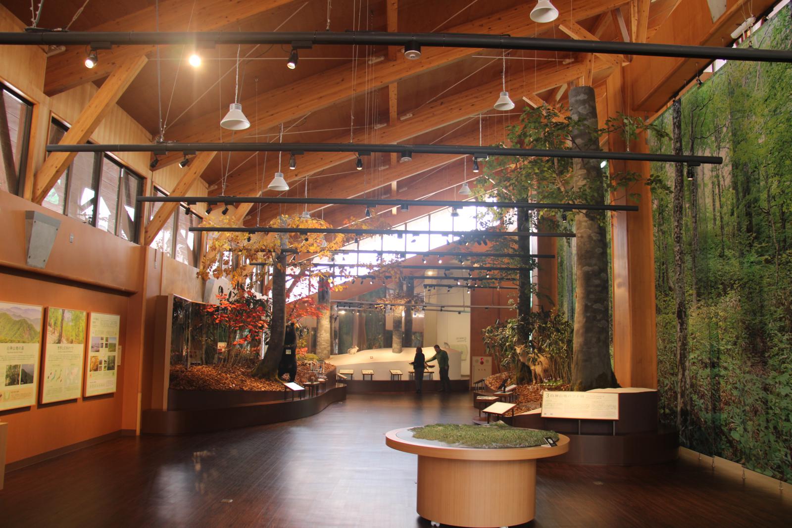 世界遺産センター