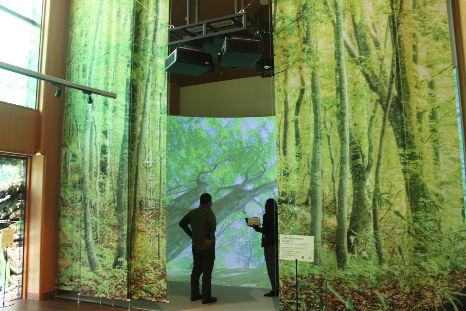 世界遺産センター