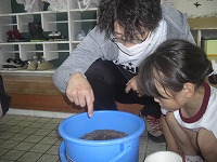 バケツ苗植え1