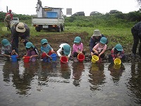 川に稚鮎を流す子どもたち
