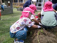 ここを掘ってみます