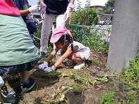 ここにあるかな