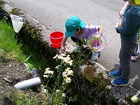 オタマジャクシを探す子どもたち