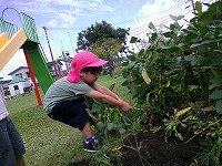 なかなか抜けません