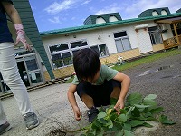 集中しています