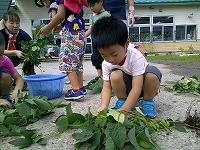 座り込んでもぎとります