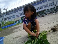 プチっと音がしました