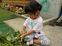 がんばりますよ