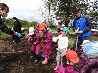 さつまいも掘り