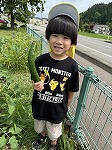 きゅうり3