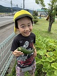 きゅうり5