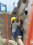 ボルダリングをするもも組女の子