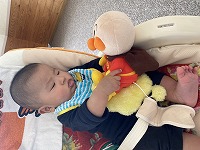 ぬいぐるみを抱く赤ちゃん