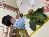 野菜を見る男の子