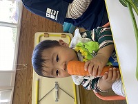 にんじんを触る男の子