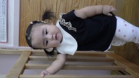 柵につかまっている女の赤ちゃん