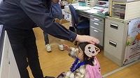 役場に勤めているお父さんから頭をなでなでされてうれしそうにしている子ども