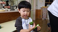 ピーマンを触っている子ども